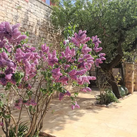 Casina Dei Preti Alloggio per agriturismo Conversano