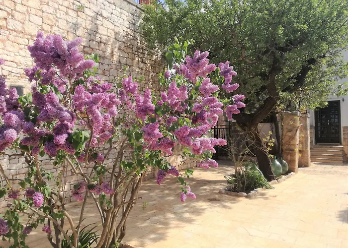 Casina Dei Preti 팜스테이 콘베르사노
