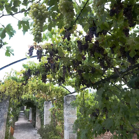 Casina Dei Preti مزرعة للإقامة *