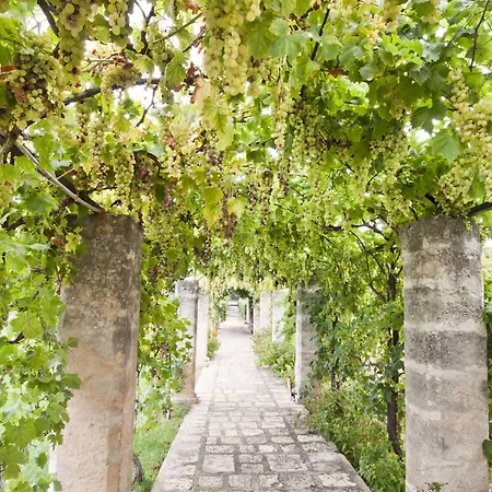 Casina Dei Preti كونفيرسانو