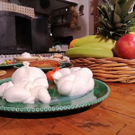 Çiftlik konaklama Casina Dei Preti